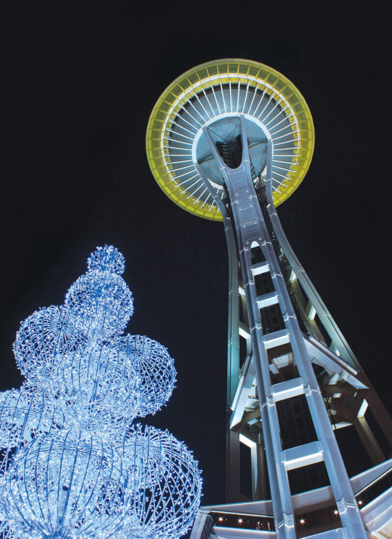 Holidays | Space Needle, image size:800x1100